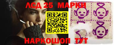шишки Кимры