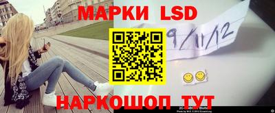 шишки Кимры