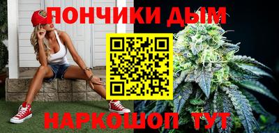 шишки Кимры