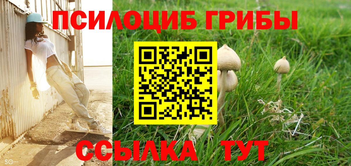 Псилоцибиновые грибы мицелий  Вход с VPN  Новый Уренгой  Галлюциногенные грибы ЛСД 