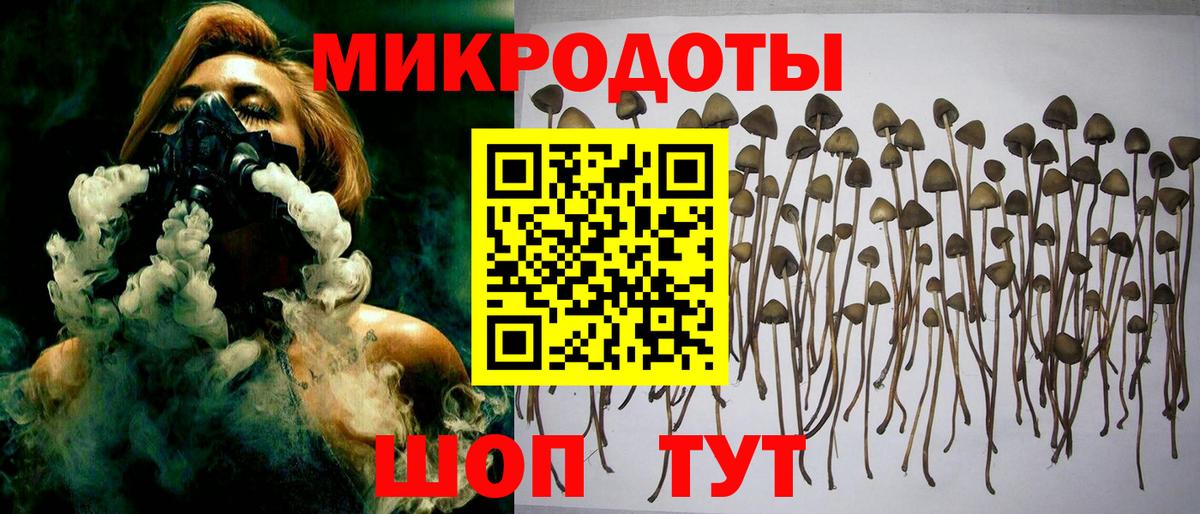 Псилоцибиновые грибы Cubensis Новый Уренгой